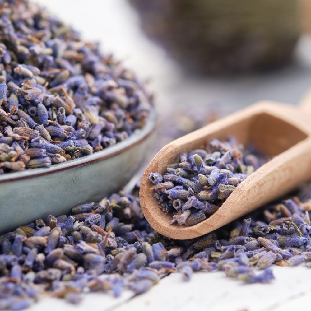 Lavender flowers in bulk